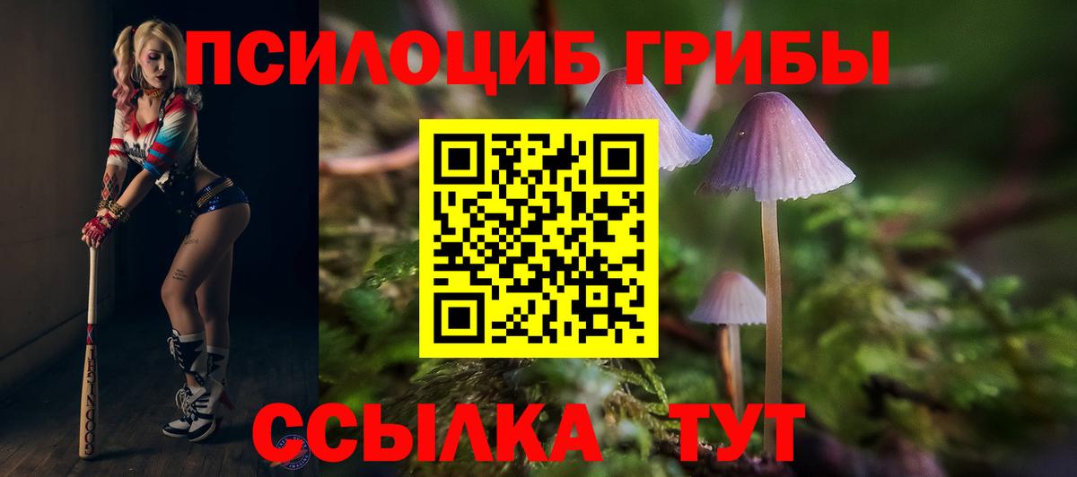 Корсаков  Галлюциногенные грибы Magic Shrooms  купить   Вход с VPN 